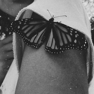 Meet your Posher, Ayeshah